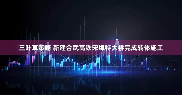 三叶草策略 新建合武高铁宋埠特大桥完成转体施工